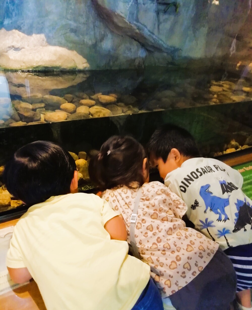 親子活動れもん