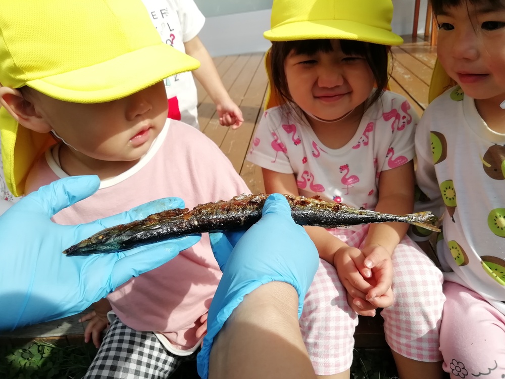 さんぽ