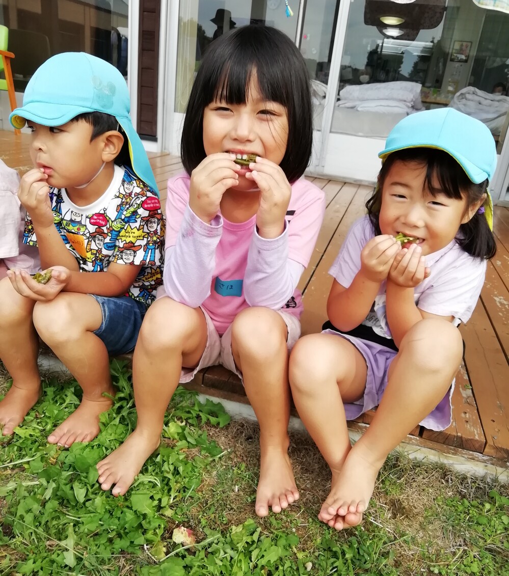 さんぽ